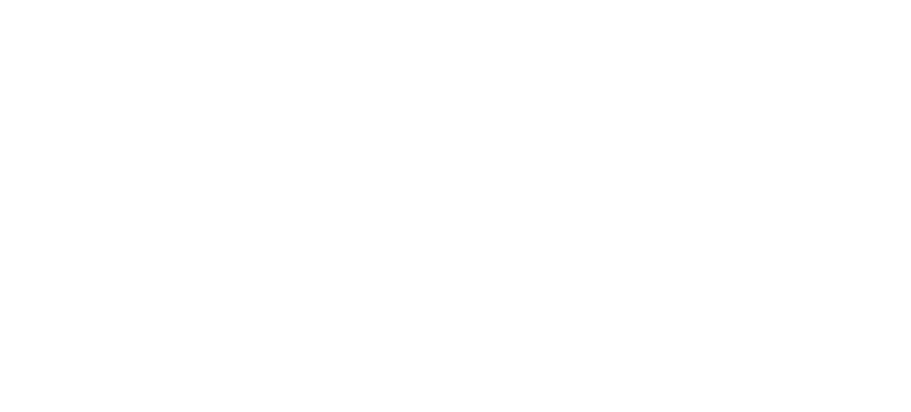 Persist